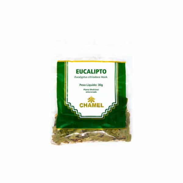 Chá de Eucalipto
