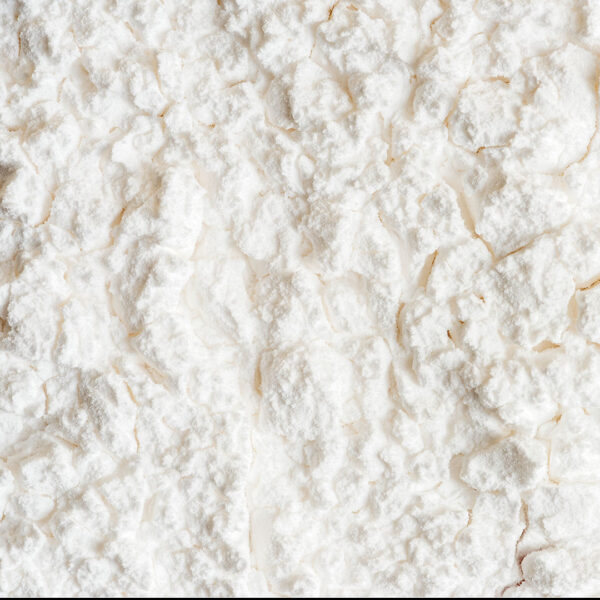Leite de Coco em Pó