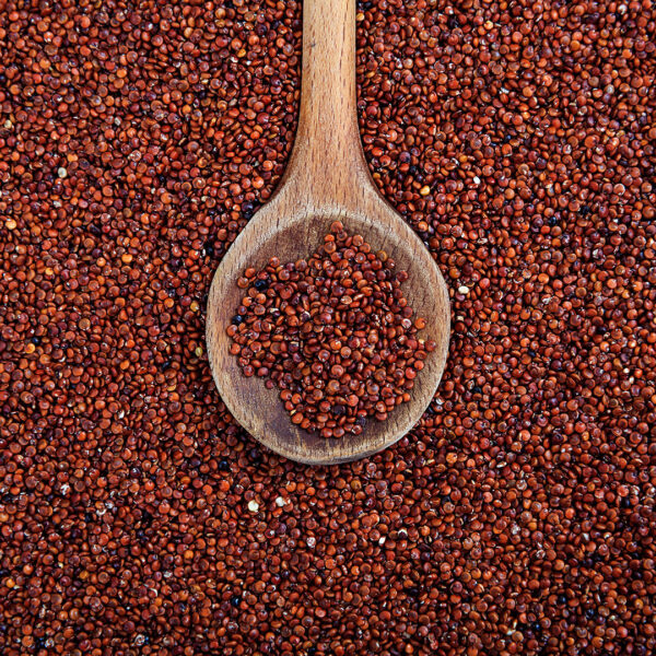 Quinoa Vermelha