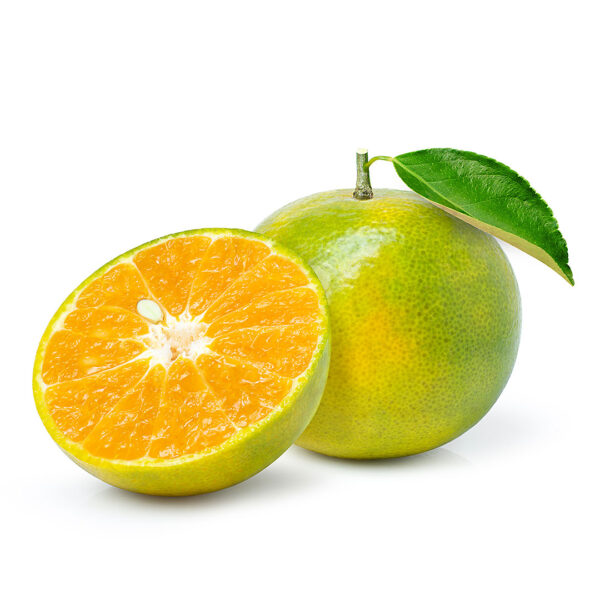 Laranja Pera Orgânica 500g