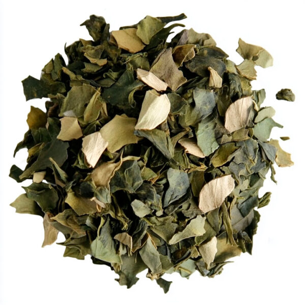 Chá Verde Nacional
